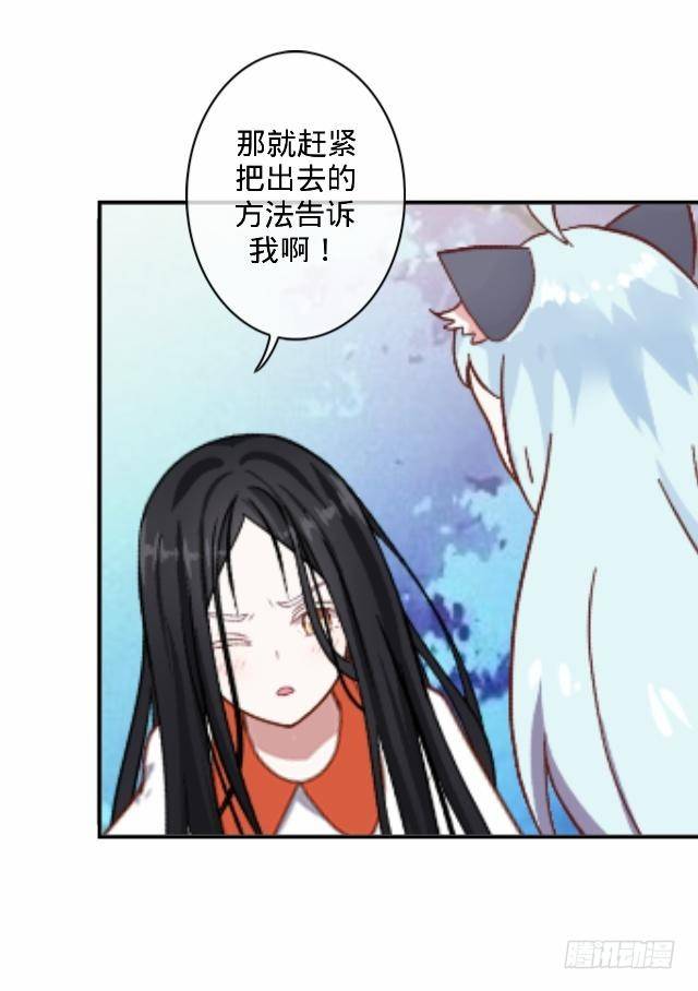 交易达成猫指路-第17话