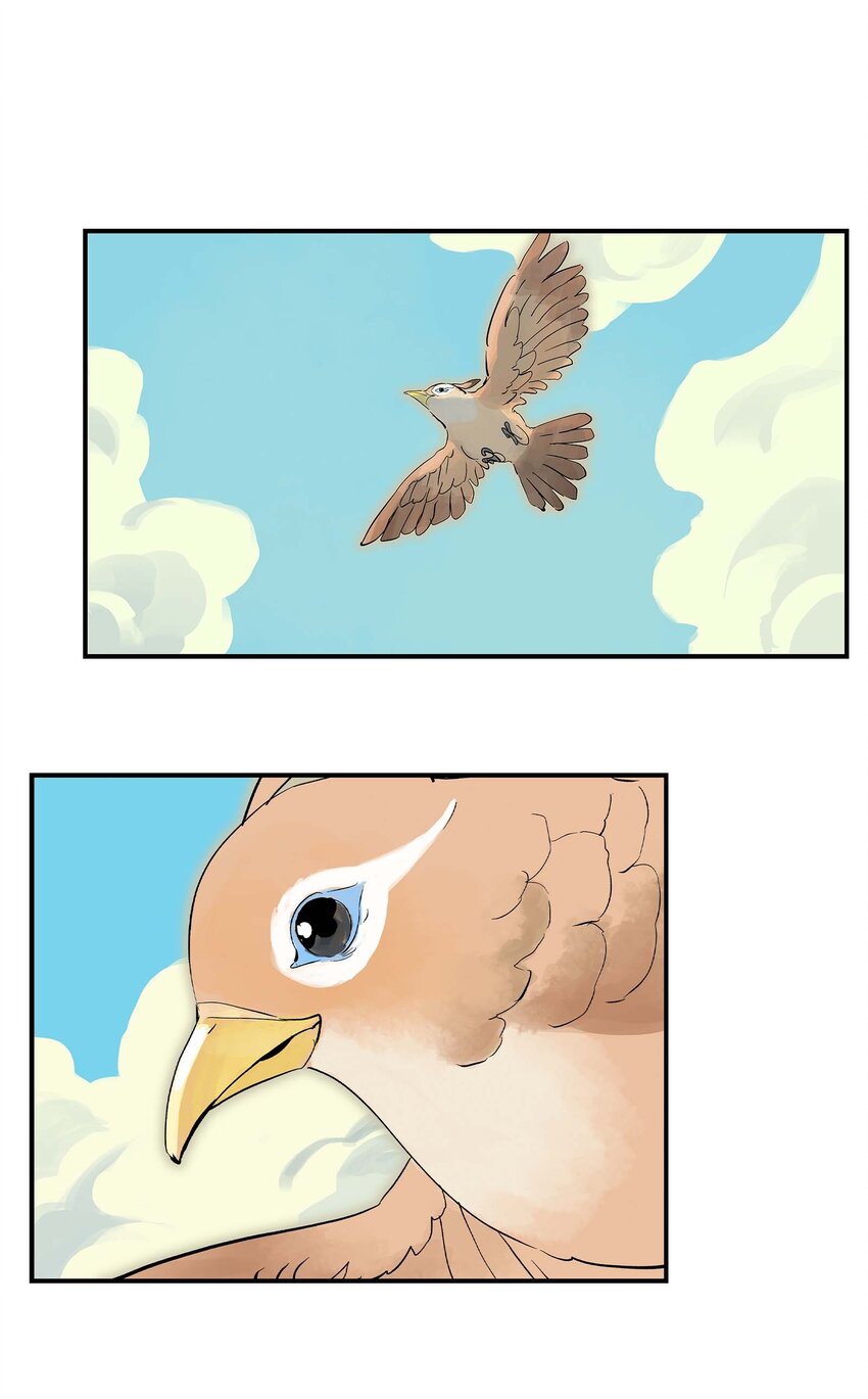 第23话 天之阶的试炼(1/2)-第23话