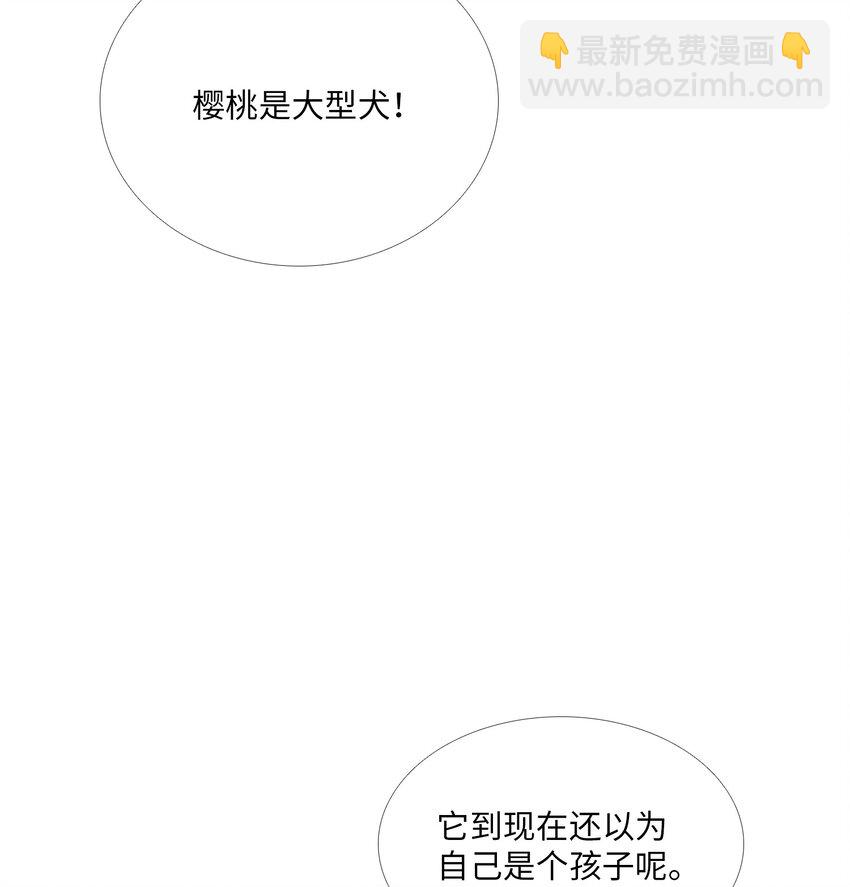 06 阴影(1/2)-第7话