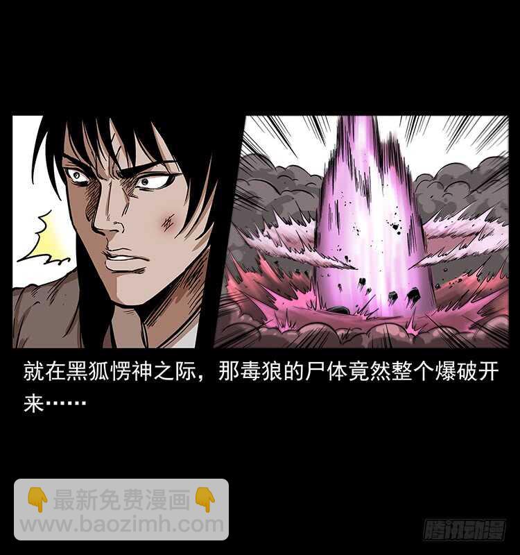 爆发的黑狐(1/2)-第97话