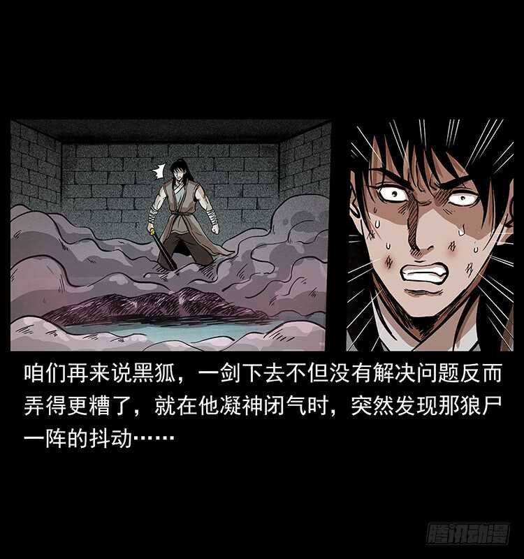 爆发的黑狐(1/2)-第97话