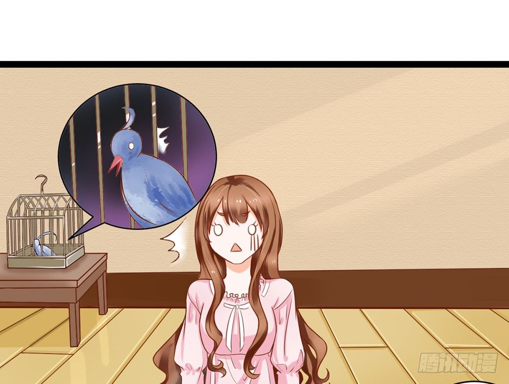 约会的邀请？(1/4)-第25话