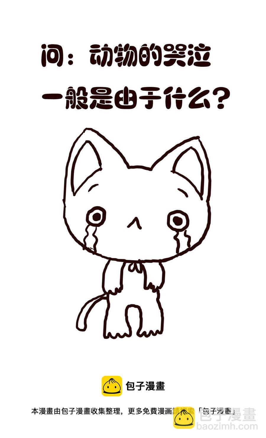 小东与小西 第9集-第9话