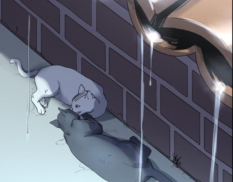 第59话 TONY的恋爱指南(1/4)-第61话