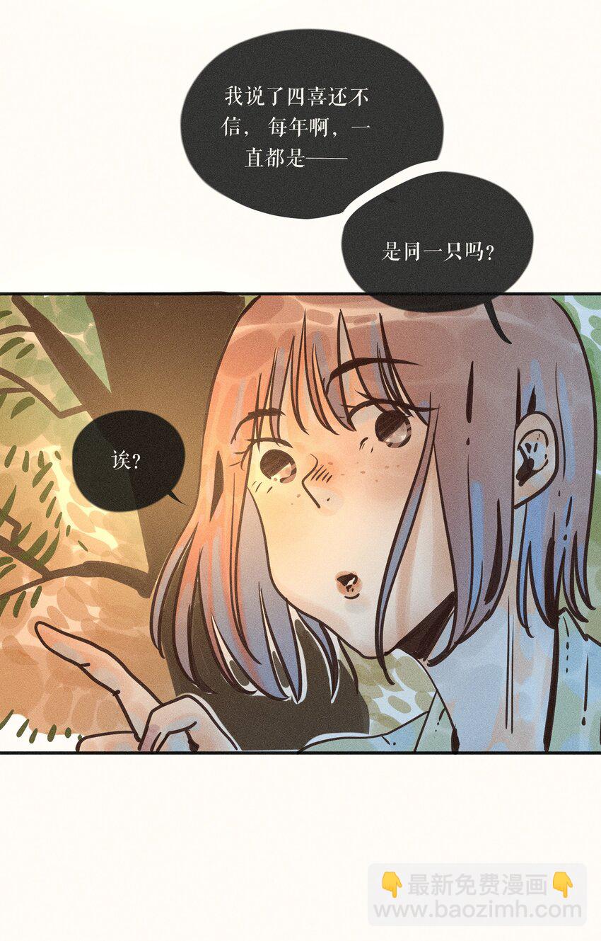 17 第十七话-第19话