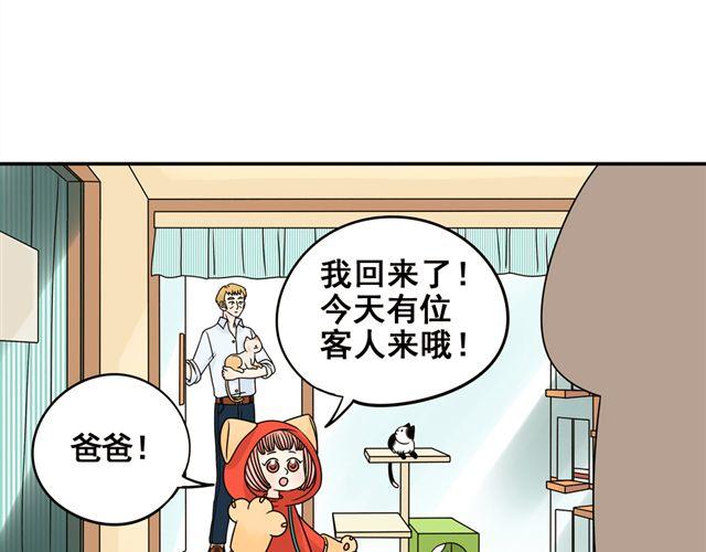 第13话. 指引方向的猫(1/2)-第13话