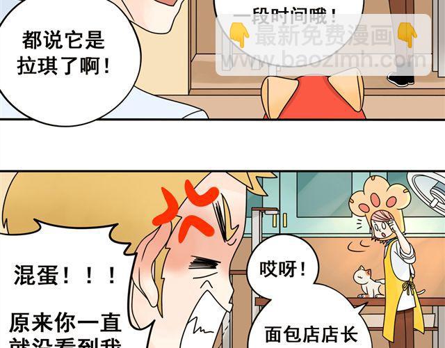 第13话. 指引方向的猫(1/2)-第13话