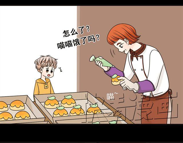 第13话. 指引方向的猫(1/2)-第13话