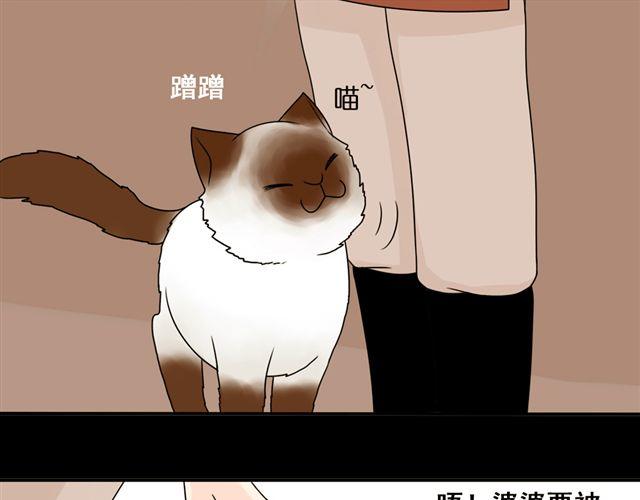 第13话. 指引方向的猫(1/2)-第13话