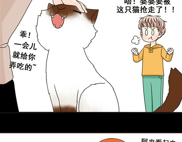 第13话. 指引方向的猫(1/2)-第13话