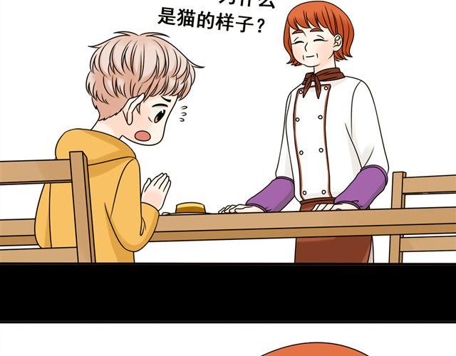 第13话. 指引方向的猫(1/2)-第13话