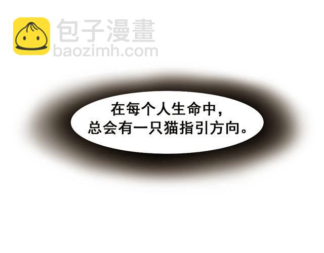 第13话. 指引方向的猫(1/2)-第13话