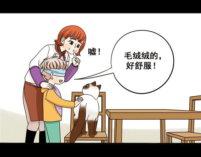 第17话 感知这个世界(1/2)-第17话