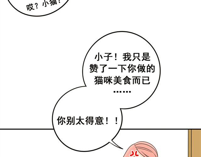 第21话 我遇到了小红猫！(1/2)-第21话