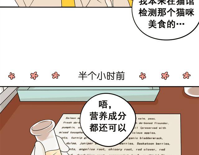 第21话 我遇到了小红猫！(1/2)-第21话