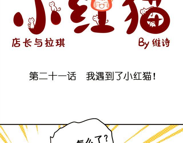 第21话 我遇到了小红猫！(1/2)-第21话