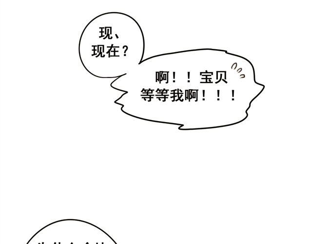 第21话 我遇到了小红猫！(1/2)-第21话