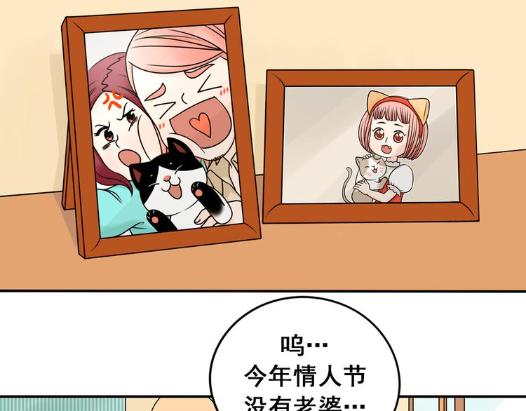 第23话 猫与巧克力(1/2)-第23话