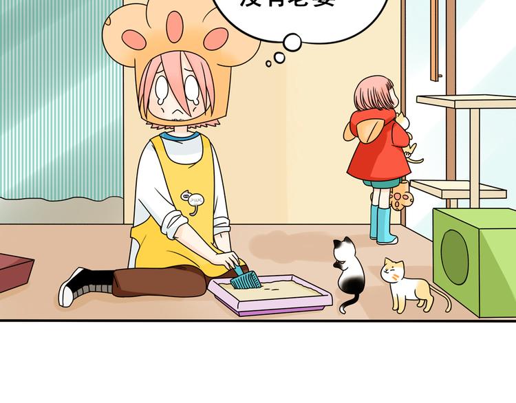 第23话 猫与巧克力(1/2)-第23话