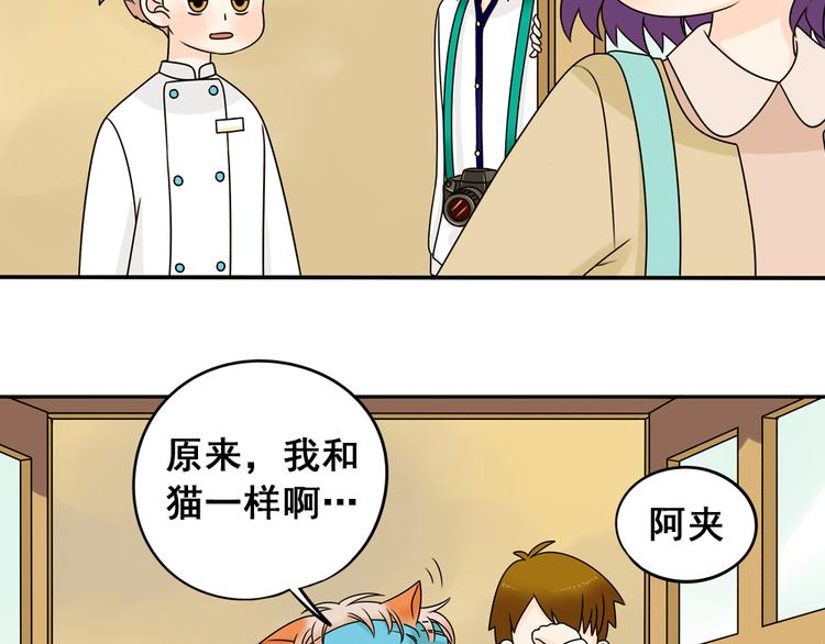 第25话 猫与巧克力(1/2)-第25话