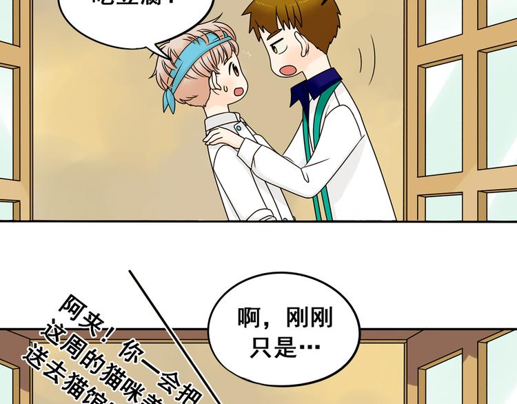 第25话 猫与巧克力(1/2)-第25话