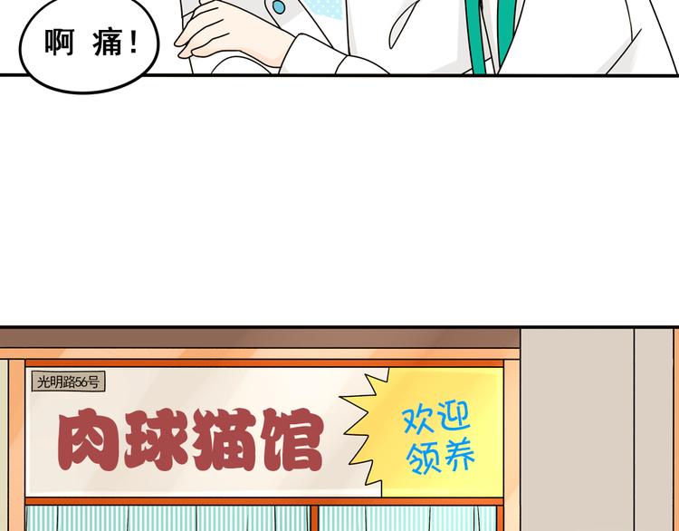 第25话 猫与巧克力(1/2)-第25话