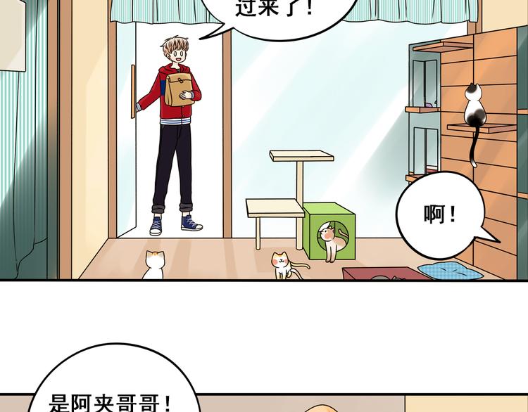 第25话 猫与巧克力(1/2)-第25话