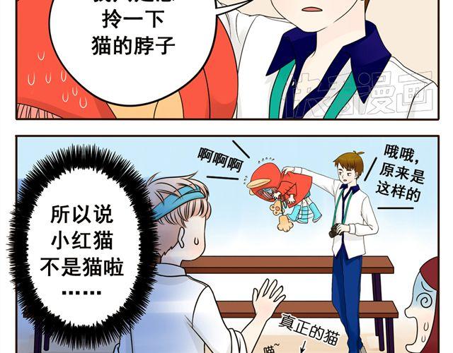 第5话 我只是想拎一下猫的脖子-第5话