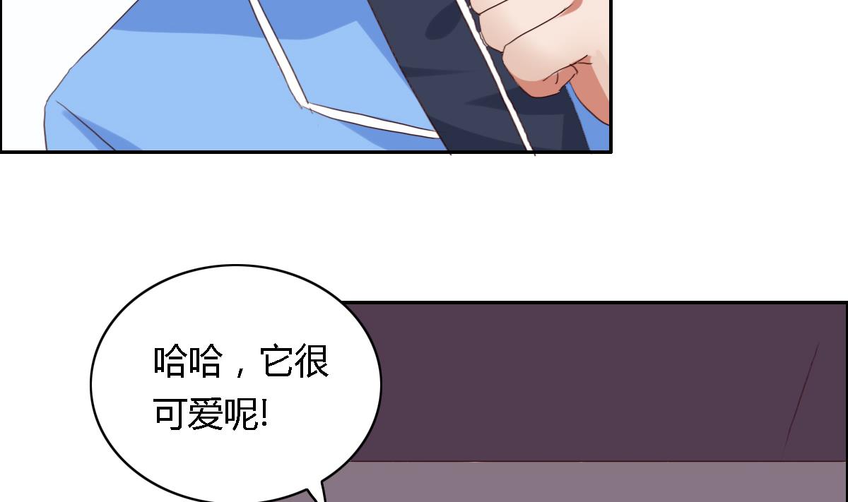 第30话 哪里来的狗叫-第35话