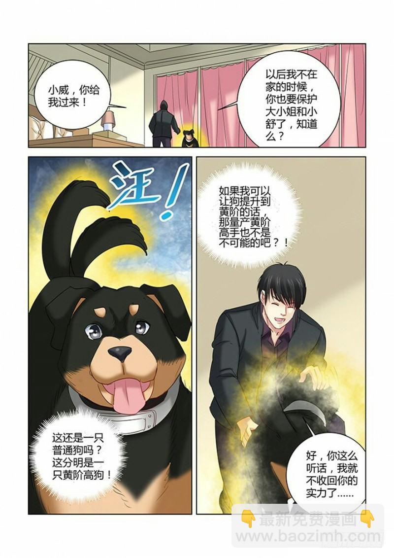 校花的貼身保鏢 - 第267話 - 2