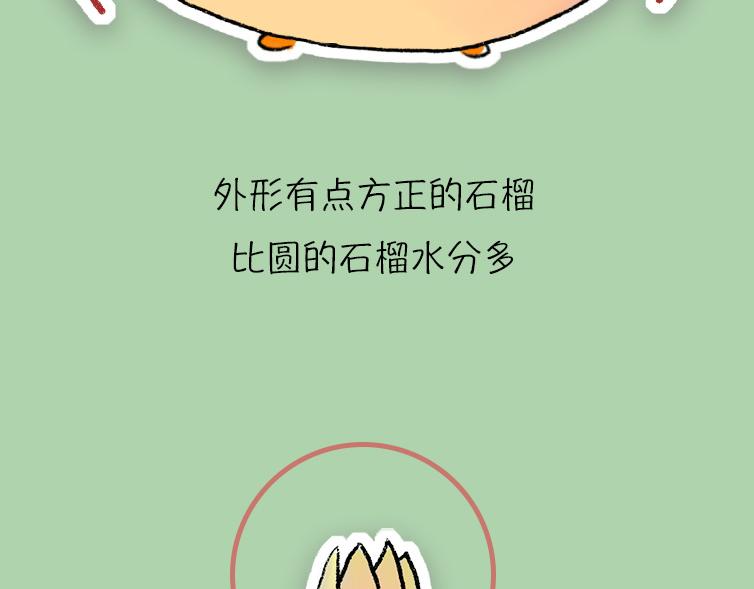 挑水果攻略-第17话