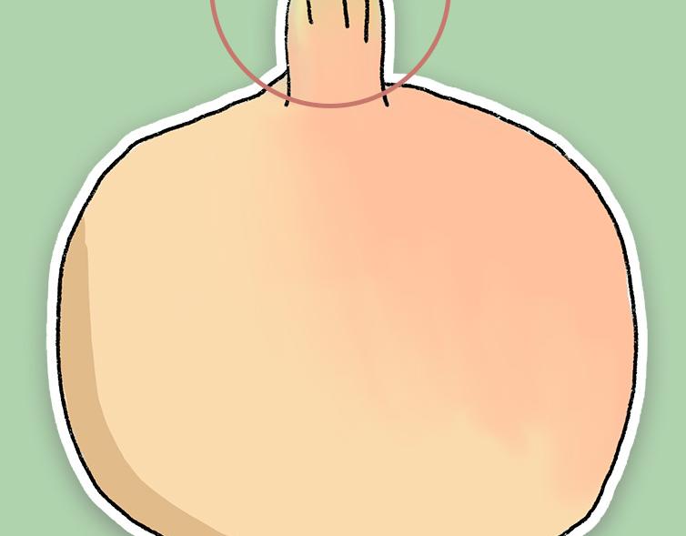 挑水果攻略-第17话