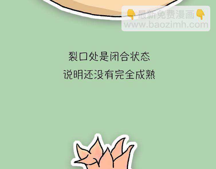 挑水果攻略-第17话