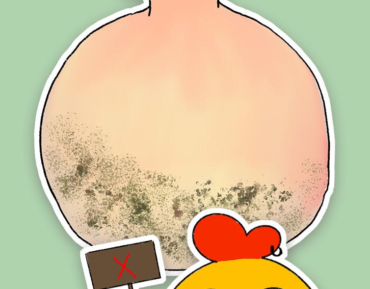 挑水果攻略-第17话