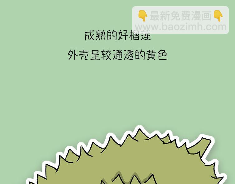 挑水果攻略-第17话