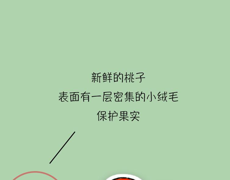 挑水果攻略-第17话