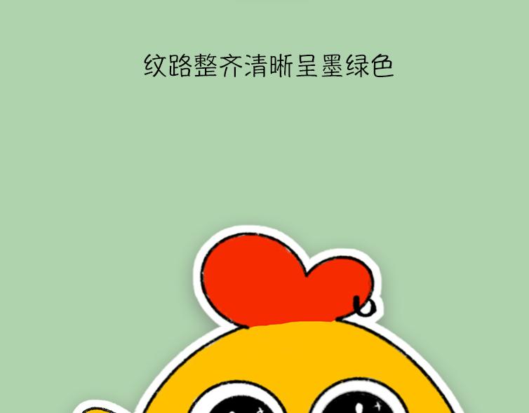 挑水果攻略-第17话