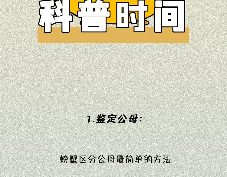 做一个会吃螃蟹的人-第21话