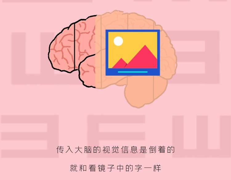 你是我的眼-第27话