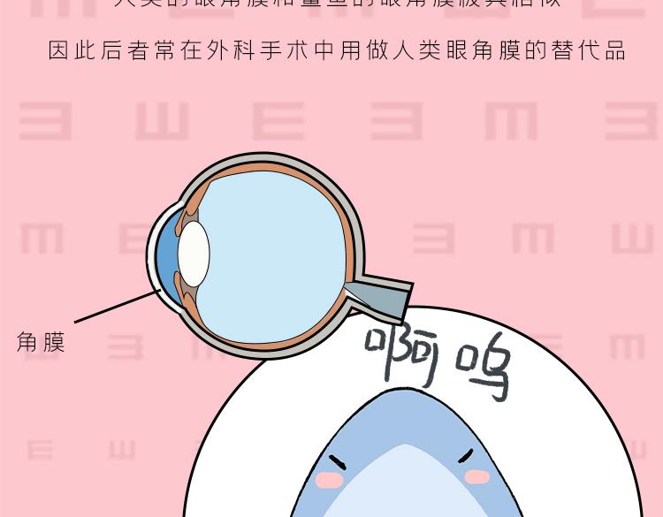 你是我的眼-第27话