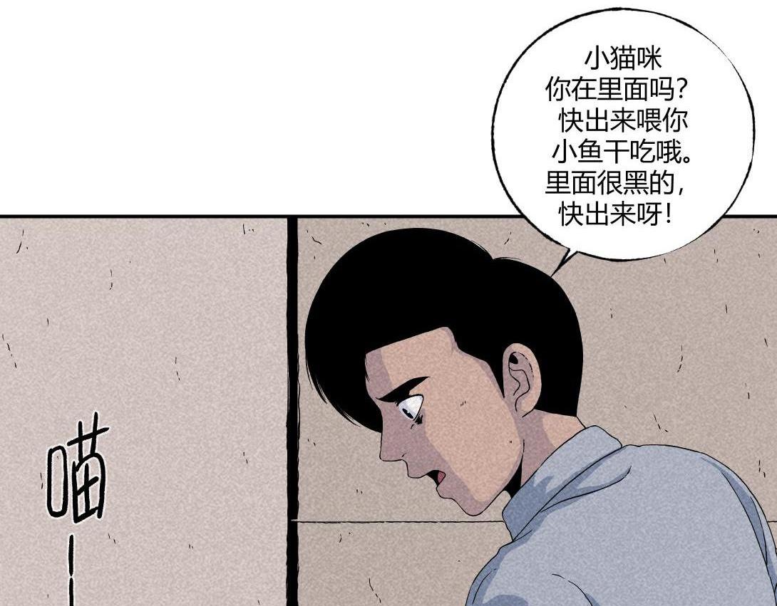 第16话 养猫记-第9话