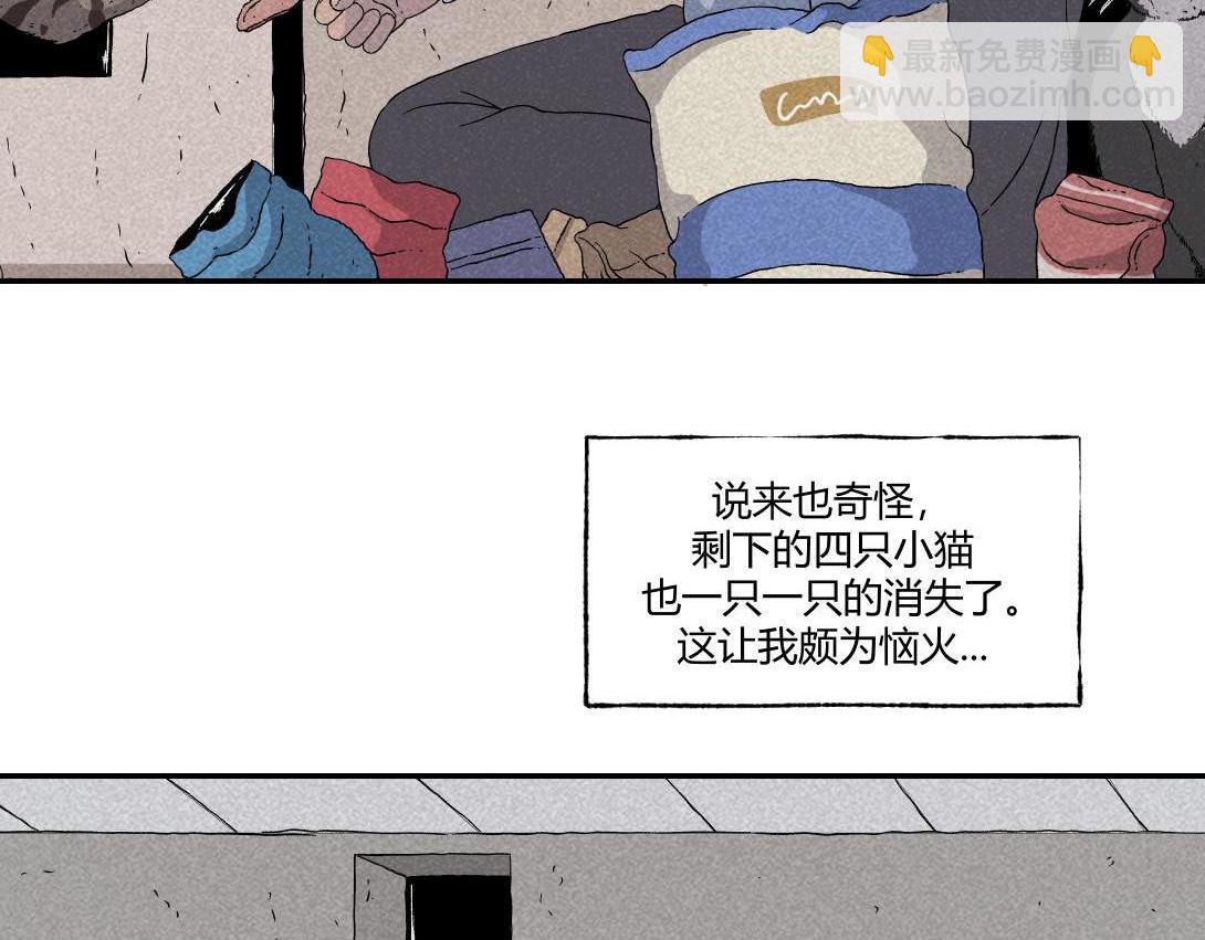 第16话 养猫记-第9话