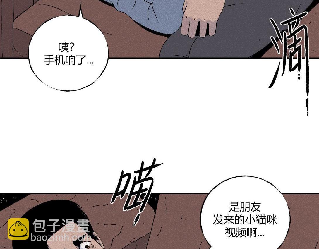 第16话 养猫记-第9话