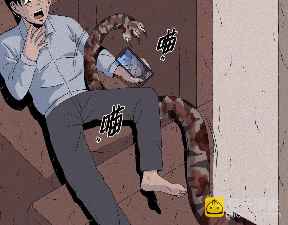 第16话 养猫记-第9话