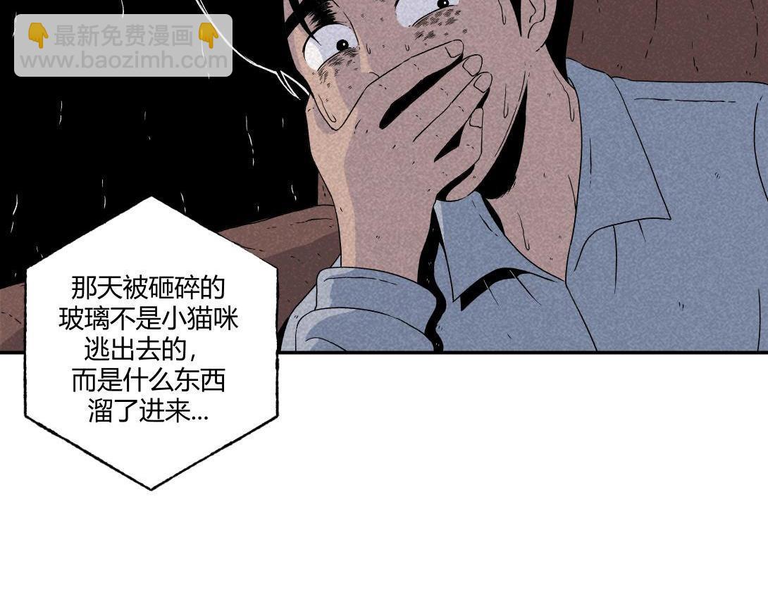 第16话 养猫记-第9话