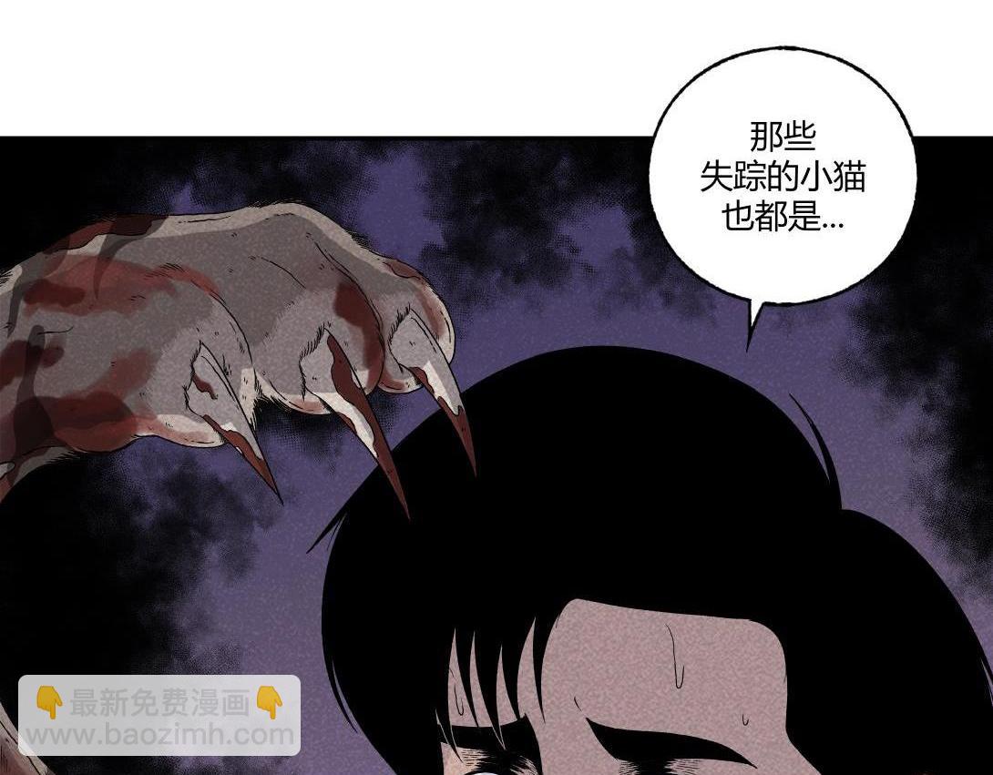 第16话 养猫记-第9话