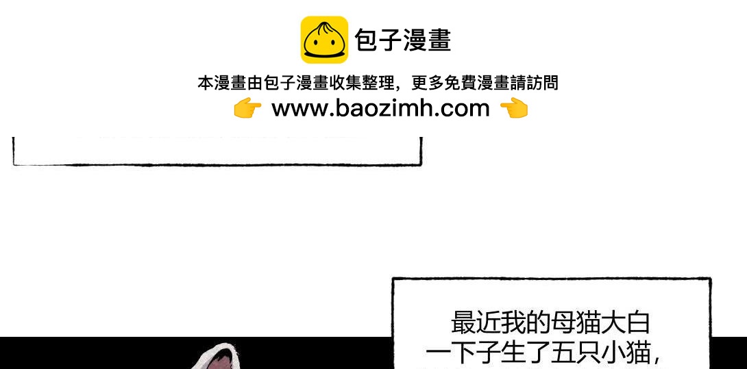 第16话 养猫记-第9话