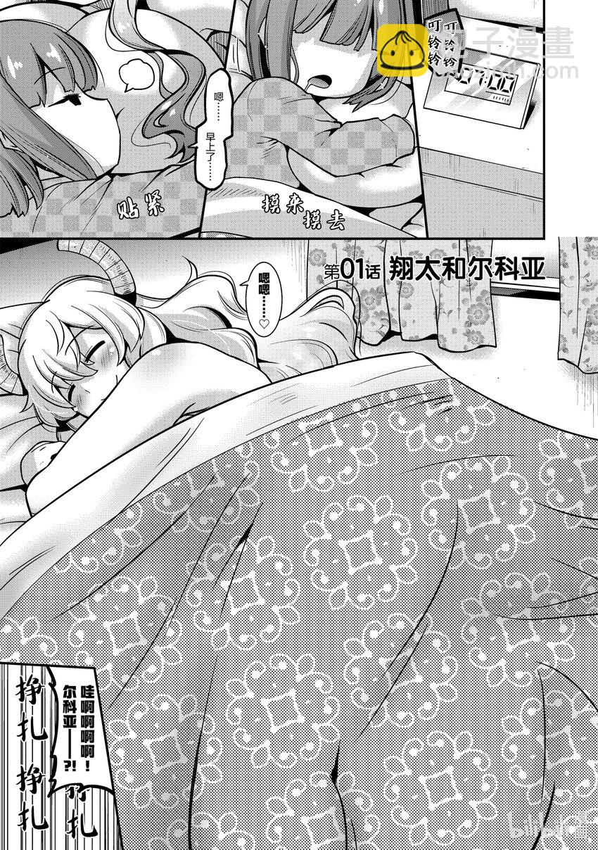 小林家的龍女僕 爾科亞是我的××。 - 1 翔太與爾科亞 - 3