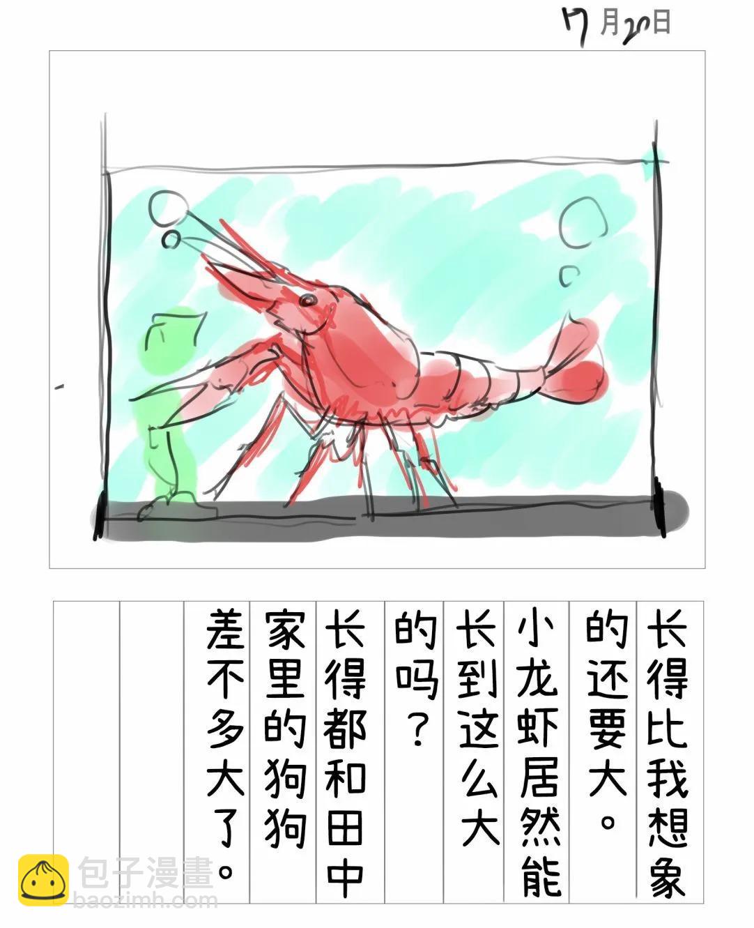 小龍蝦醬觀察日記 - 第01話 - 1