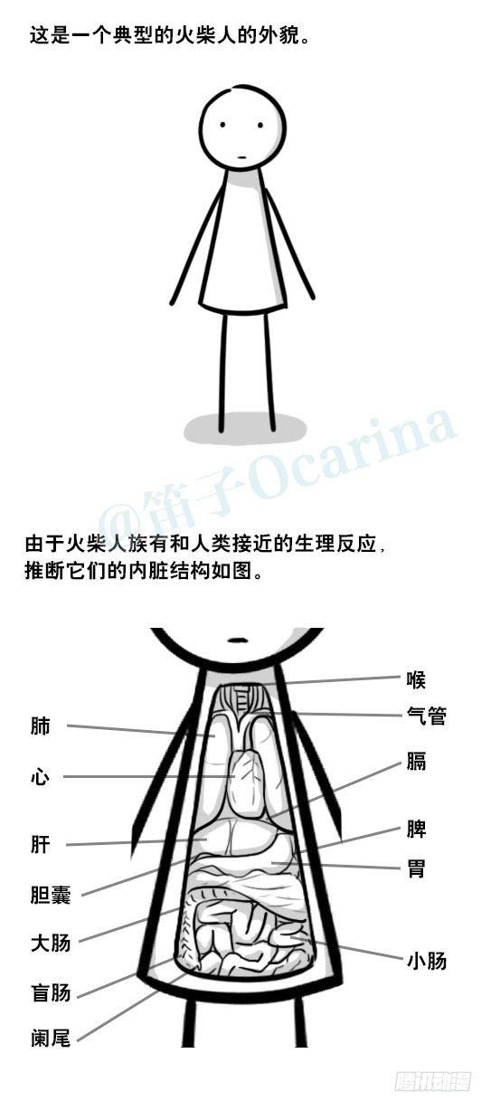 小綠和小藍 - 265 火柴人觀察報告 - 2